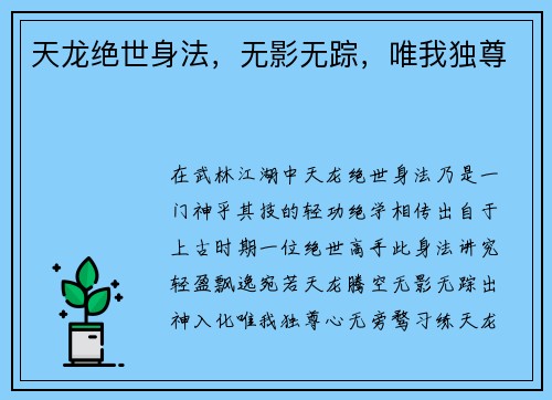 天龙绝世身法，无影无踪，唯我独尊